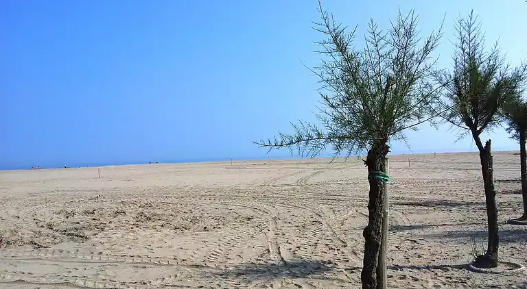 Ferielejlighed i Rosolina Mare