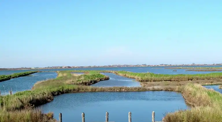 Apartment in Rosolina Mare