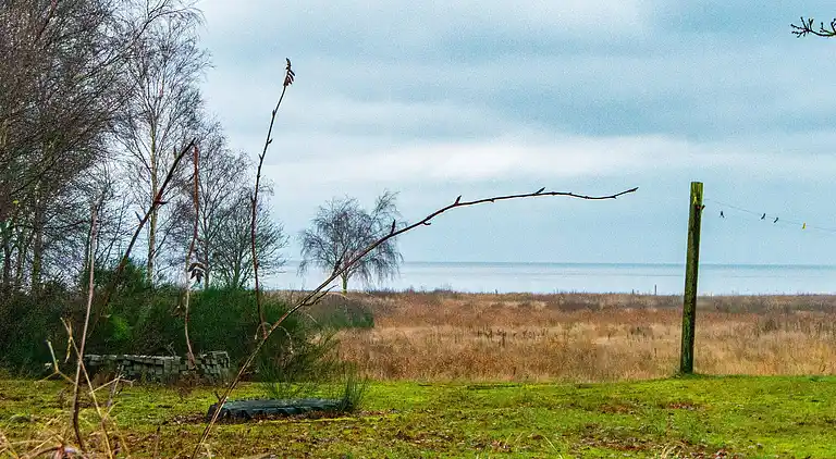 Holiday home in Ørsted