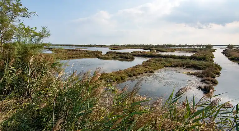 Ferielejlighed i Rosolina Mare