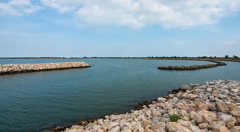 Apartment in Rosolina Mare