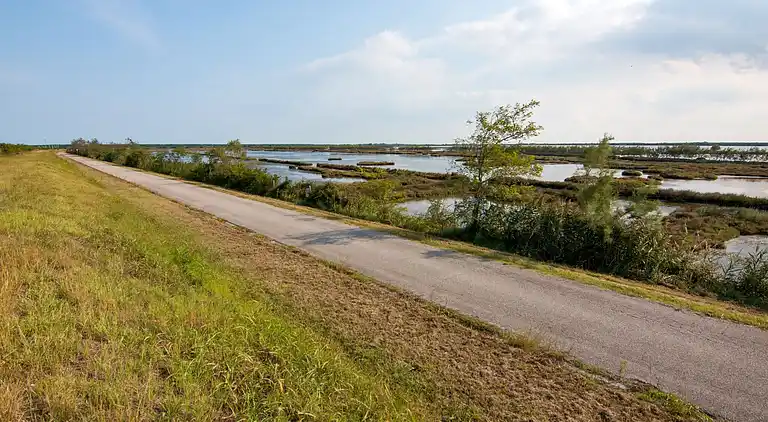 Apartment in Rosolina Mare