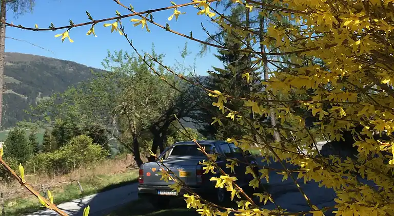 Ferielejlighed i Treffen