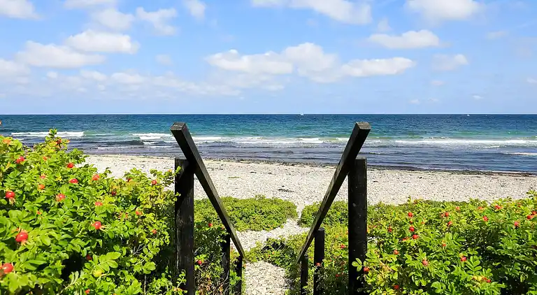 Sommerhus i Græsted