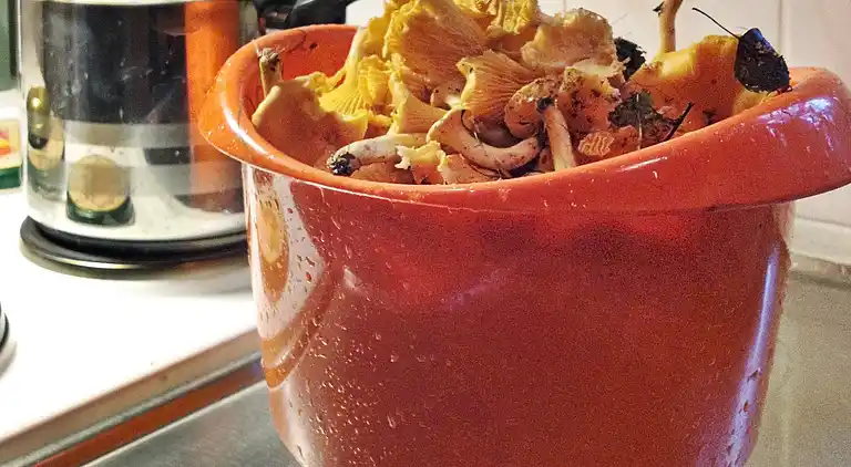 Holiday home in Rosendal