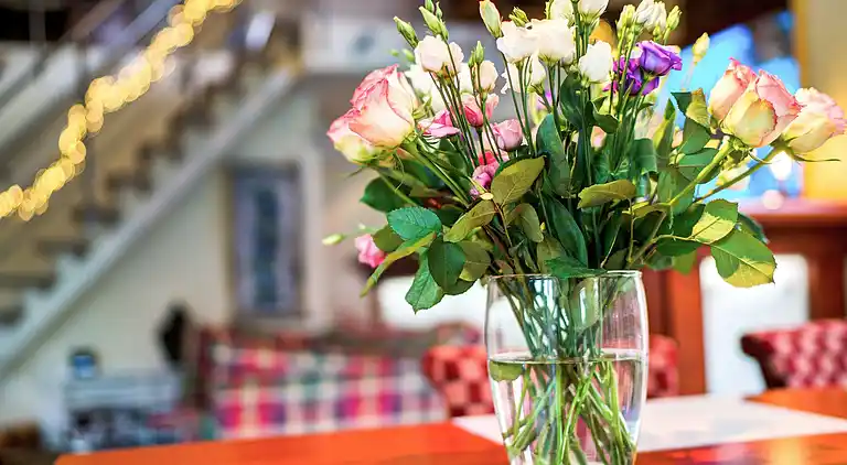 Sommerhus i Oldenzaal