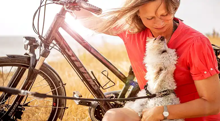Sommerhus i Ostseebad Damp