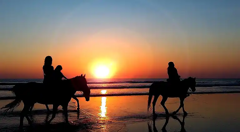 Sommerhus i Ostseebad Damp