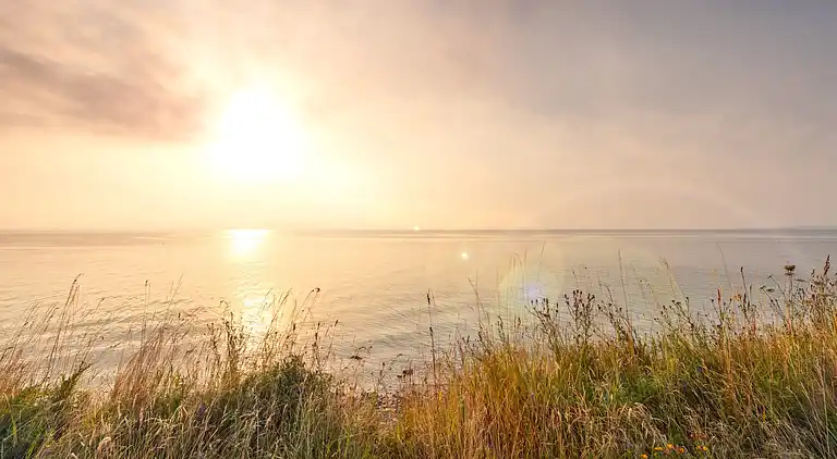 Sommerhus i Ostseebad Damp