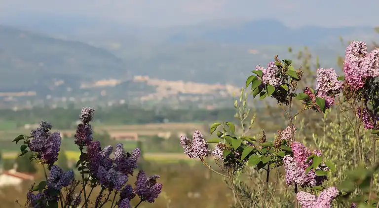 "Il Melograno" apartment 