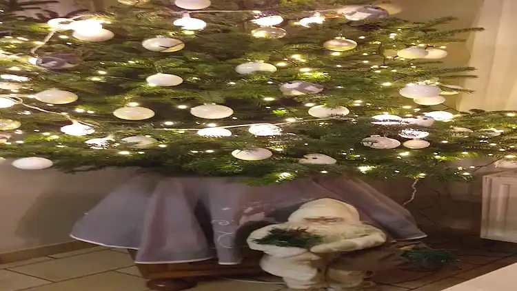 Semesterbostad i Vivy