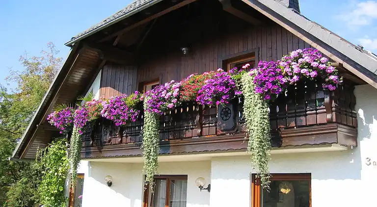 Ferielejlighed i Schwarzenberg