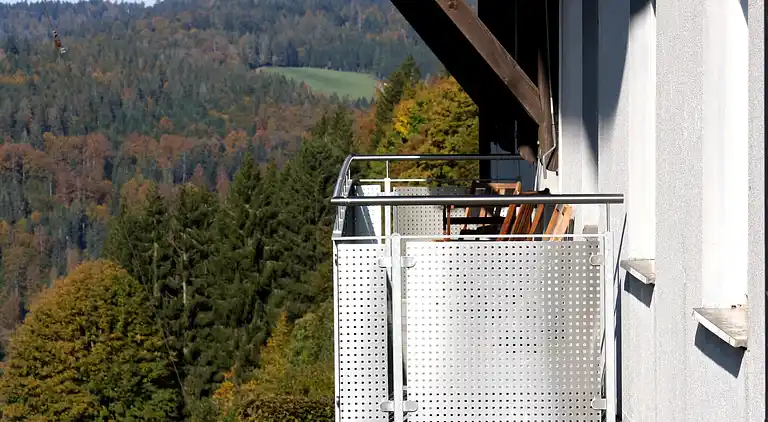 Farm house in Herrischried