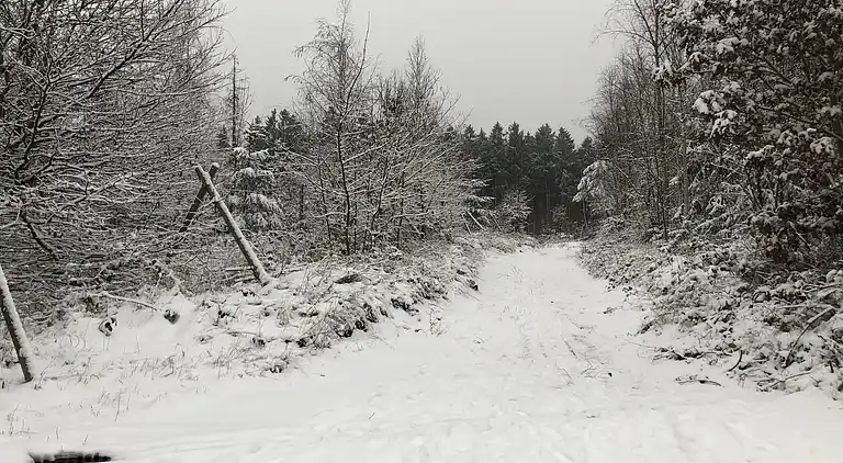 Appartement in Nauendorf