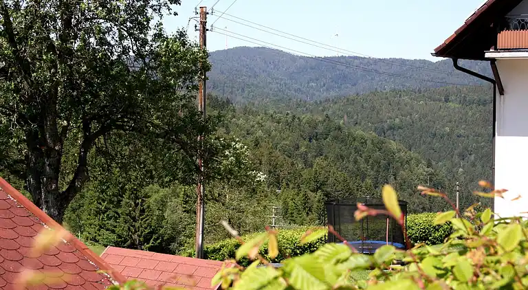 Farm house in Herrischried