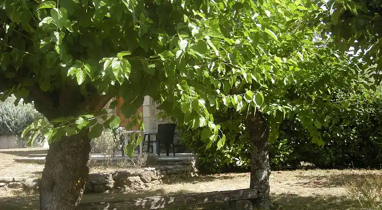 Maison de vacances au Vinezac