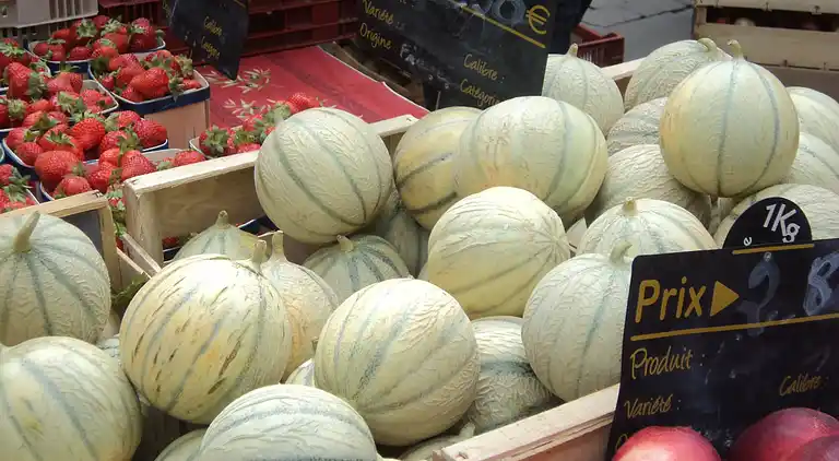 Villa i Saint-Ambroix