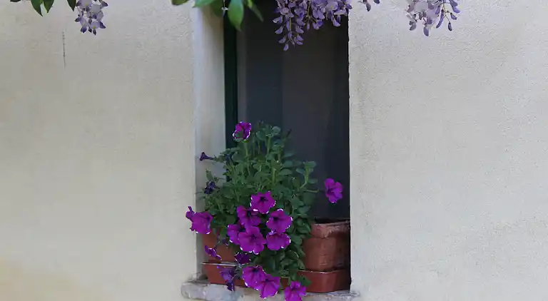 Apartamento "Il Glicine"