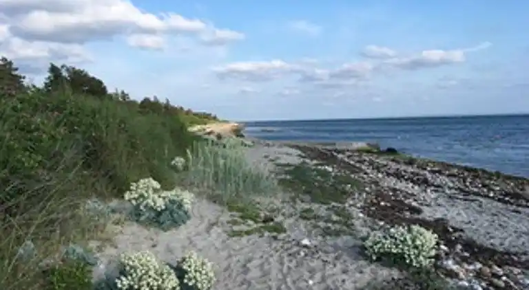 Sommerhus i Sjællands Odde