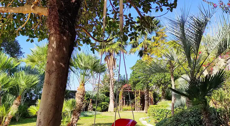 Villa Aphrodite with heated pool and exotic garden