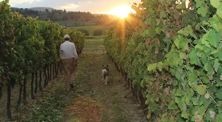 Apartamento "Il Sagrantino"