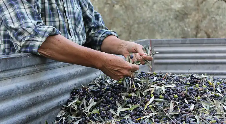 Apartamento "Il Sagrantino"