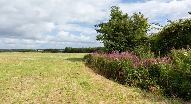 Ferienhaus in Bilsington