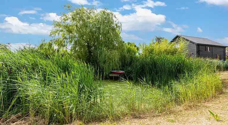 Ferienhaus in Bilsington