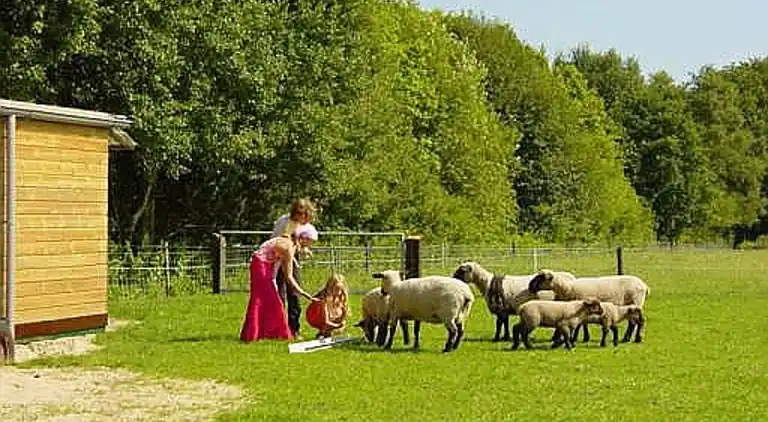 Holiday home in Noordwolde
