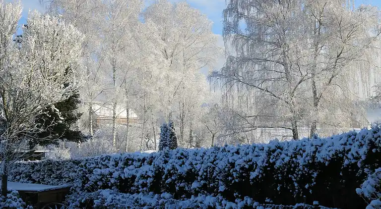 Apartment in Stockheim