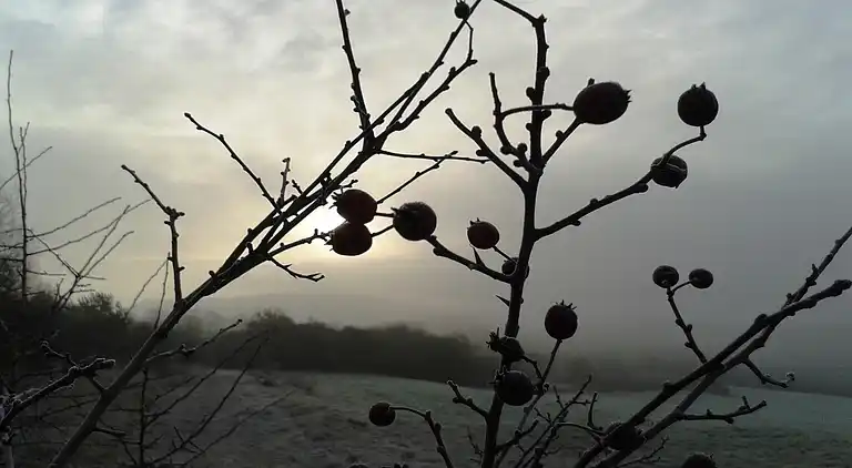 Apartment in Stockheim