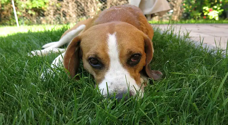 Apartment in Stockheim