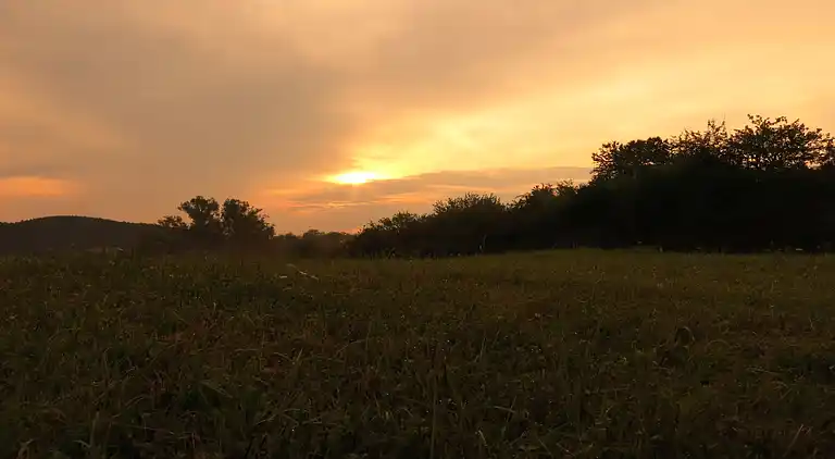 Apartment in Stockheim