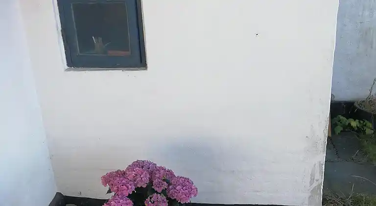 Fint fiskerhus med havutsikt