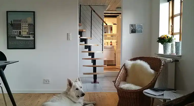 Fint fiskerhus med havutsikt