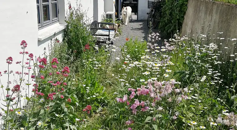 Fint fiskerhus med havutsikt