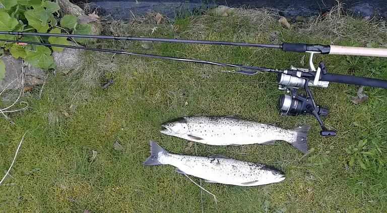Fint fiskerhus med havutsikt