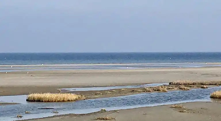 Sommerhus ved Bønnerup Strand