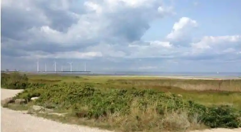 Sommerhus ved Bønnerup Strand