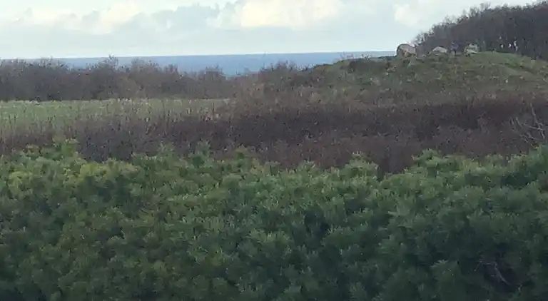 Sommerhus ved Bønnerup Strand