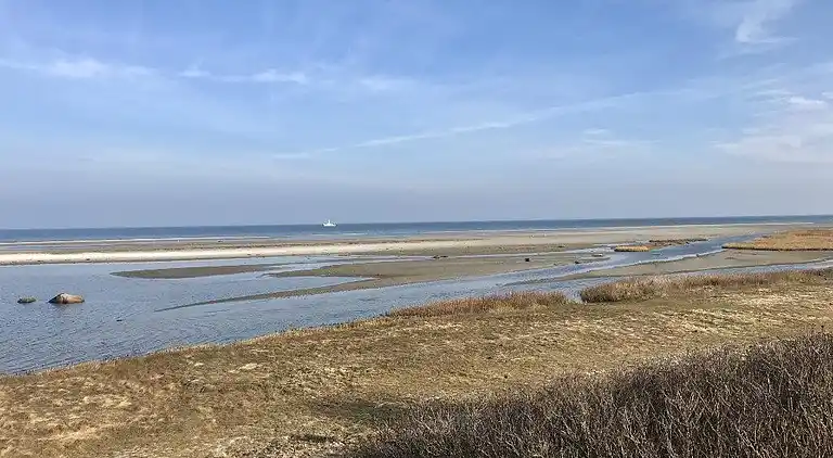 Sommerhus ved Bønnerup Strand