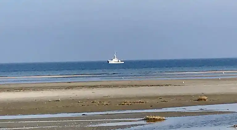 Sommerhus ved Bønnerup Strand