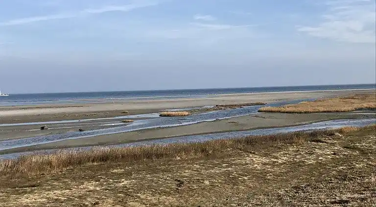 Sommerhus ved Bønnerup Strand