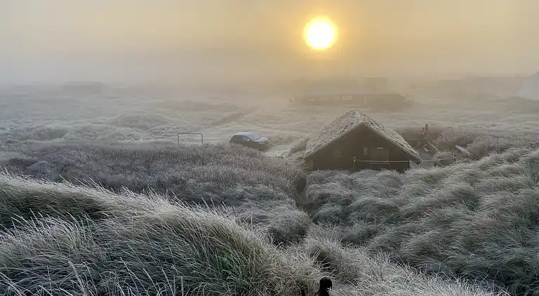 Sommerhausidylle in der ersten Dünenreihe
