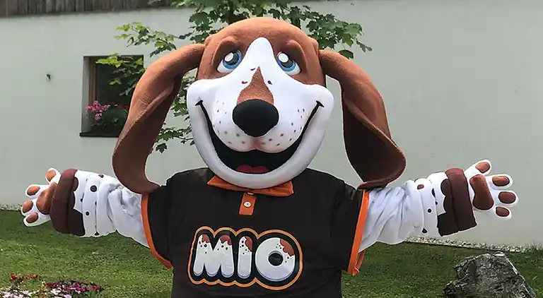 Vakantiehuis in Dousberg-Hazendans