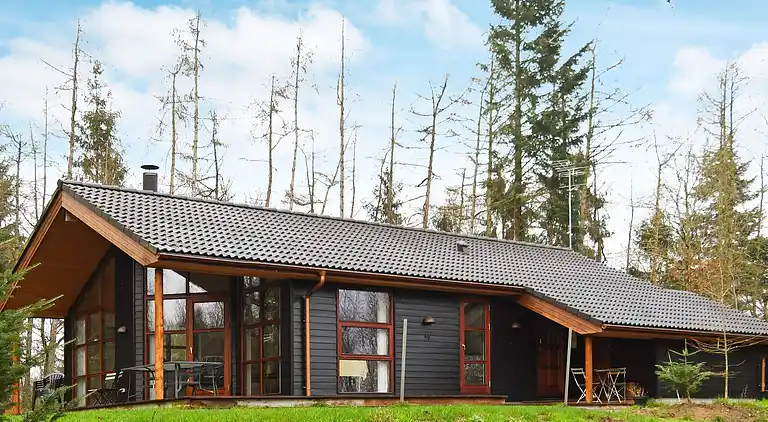 Holiday home in Skals