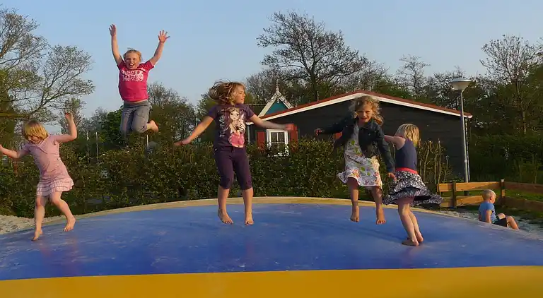 Chalet in Hippolytushoef