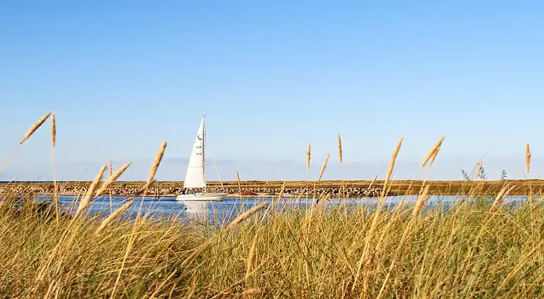 Ferienhaus in Wendtorf