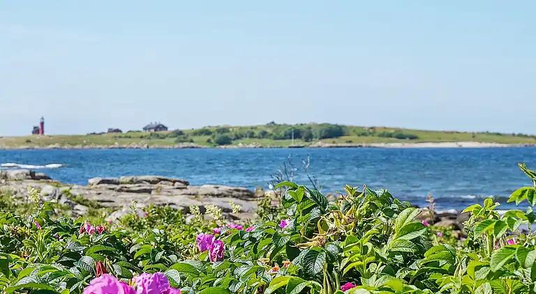 Casa de vacaciones en Falkenberg S