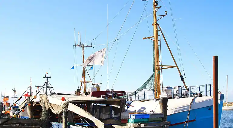 Ferienhaus in Wendtorf